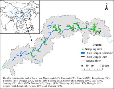 Ecological water quality of the Three Gorges Reservoir and its relationship with land covers in the reservoir area: implications for reservoir management